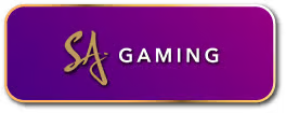 SA Gaming